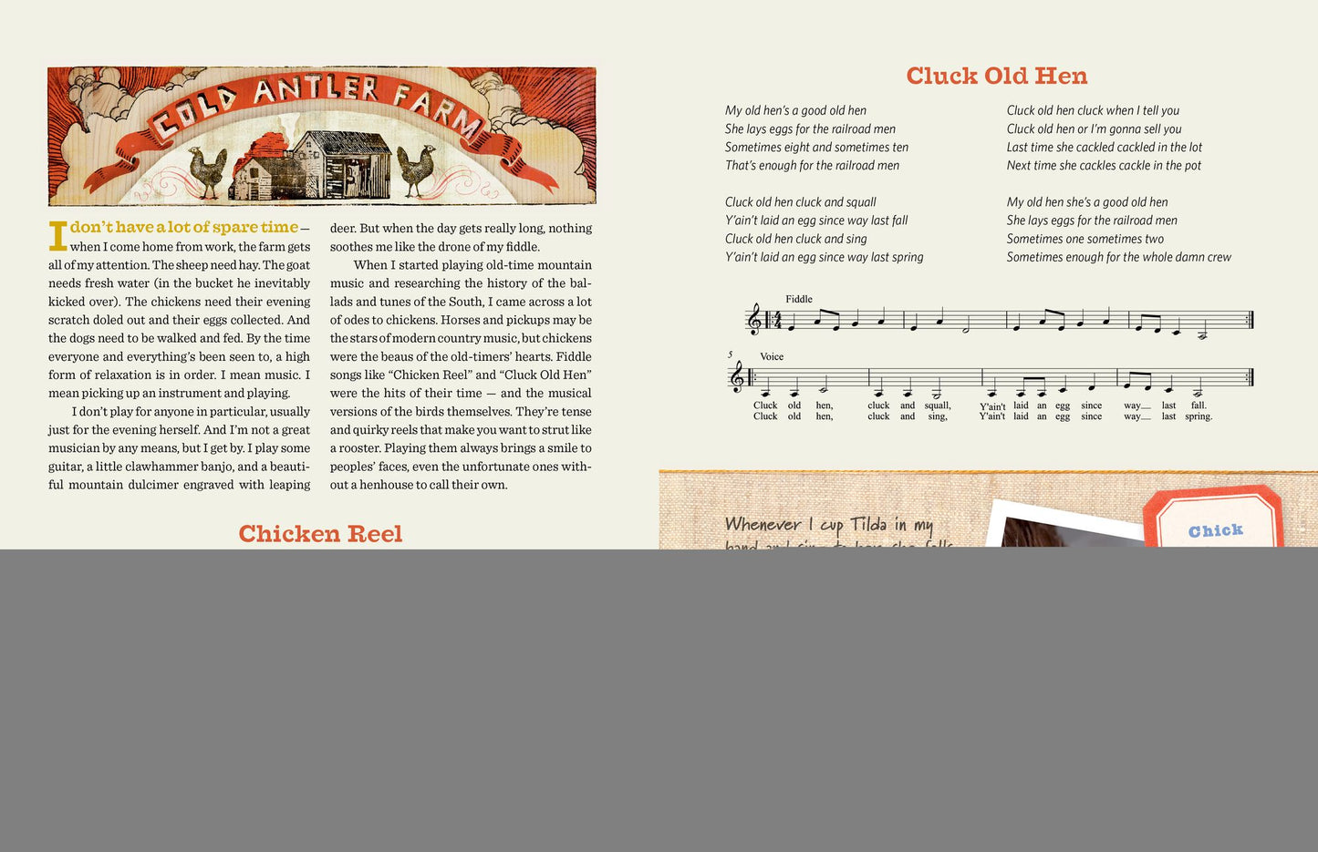Chick Days: An Absolute Beginner's Guide to Raising Chickens from Hatching to Laying