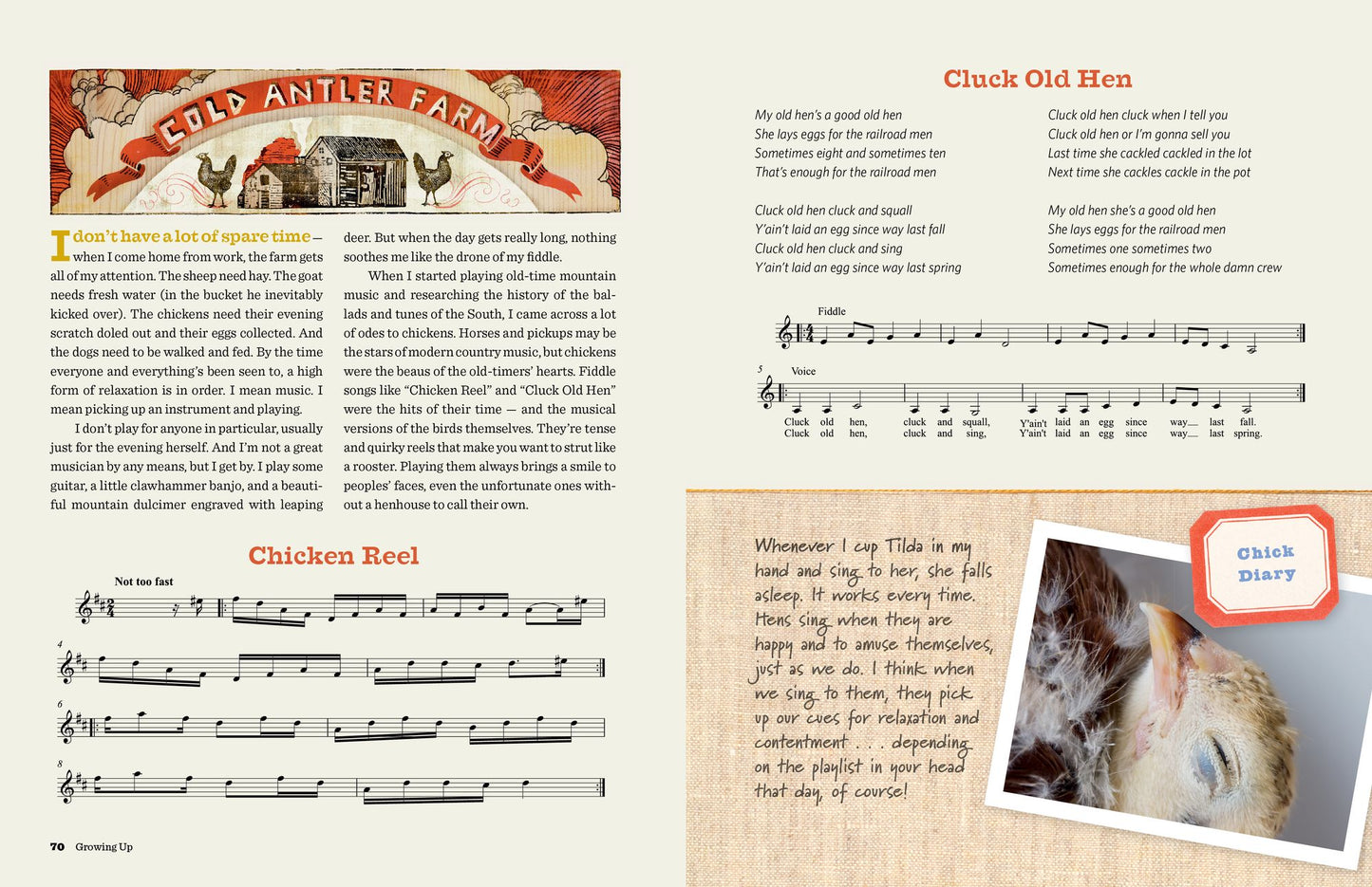 Chick Days: An Absolute Beginner's Guide to Raising Chickens from Hatching to Laying