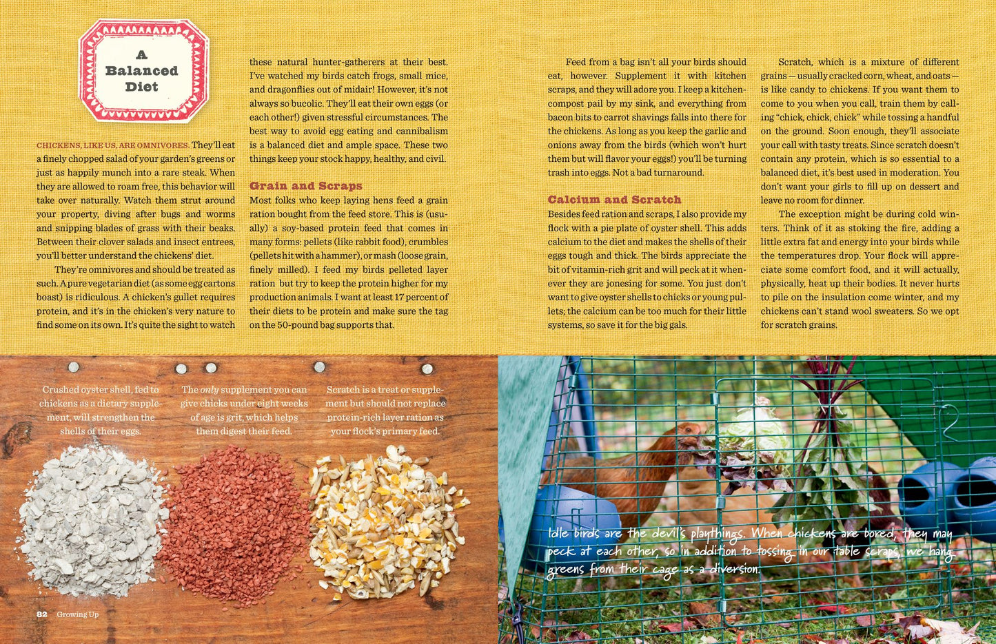 Chick Days: An Absolute Beginner's Guide to Raising Chickens from Hatching to Laying