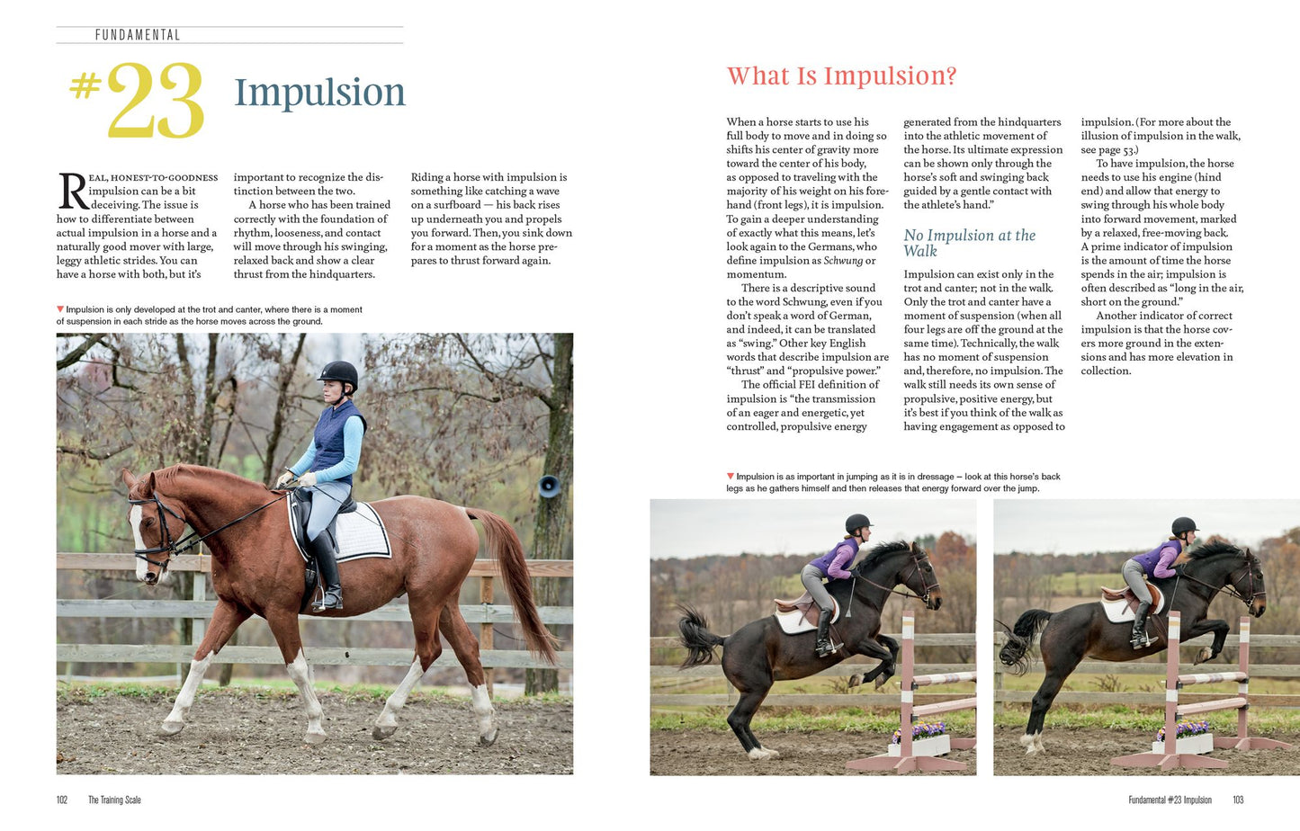 40 Fundamentals of English Riding: Essential Lessons in Riding Right (Book and DVD)