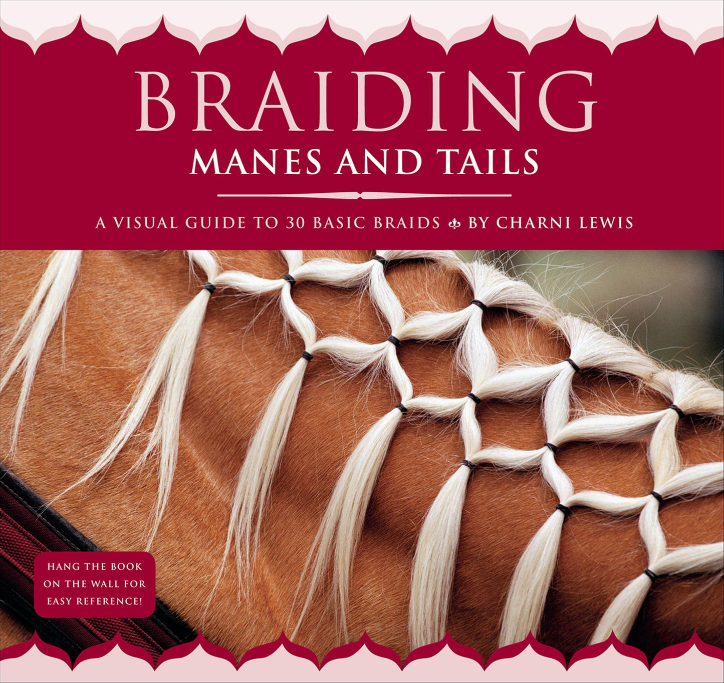 Braiding Manes and Tails: A Visual Guide to 30 Basic Braids