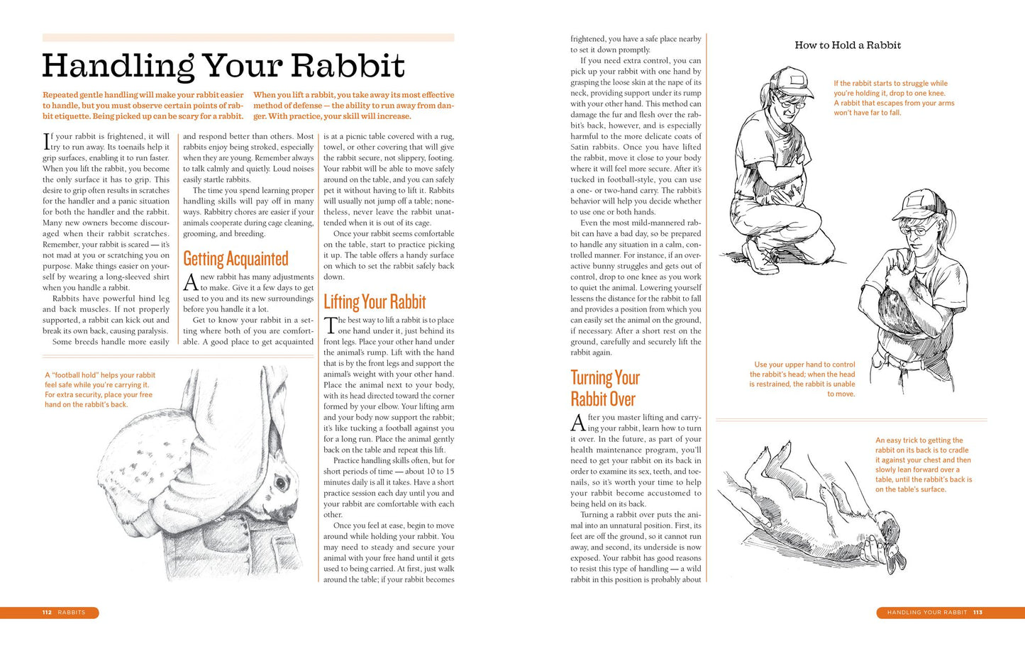 The Backyard Homestead Guide to Raising Farm Animals: Choose the Best Breeds for Small-Space Farming, Produce Your Own Grass-Fed Meat, Gather Fresh Eggs, Collect Fresh Milk, Make Your Own Cheese, Keep Chickens, Turkeys, Ducks, Rabbits, Goats, Sheep, Pigs,