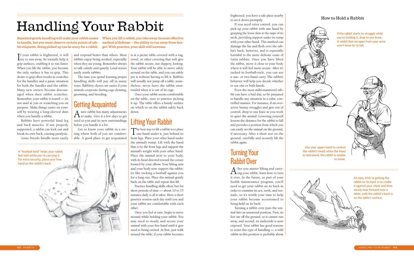 The Backyard Homestead Guide to Raising Farm Animals: Choose the Best Breeds for Small-Space Farming, Produce Your Own Grass-Fed Meat, Gather Fresh Eggs, Collect Fresh Milk, Make Your Own Cheese, Keep Chickens, Turkeys, Ducks, Rabbits, Goats, Sheep, Pigs,