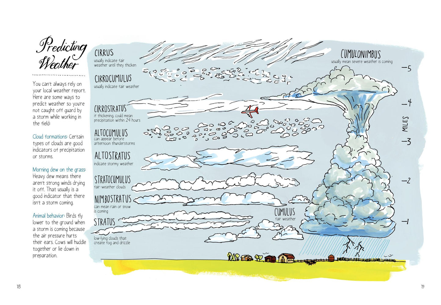 Farm Anatomy: The Curious Parts and Pieces of Country Life