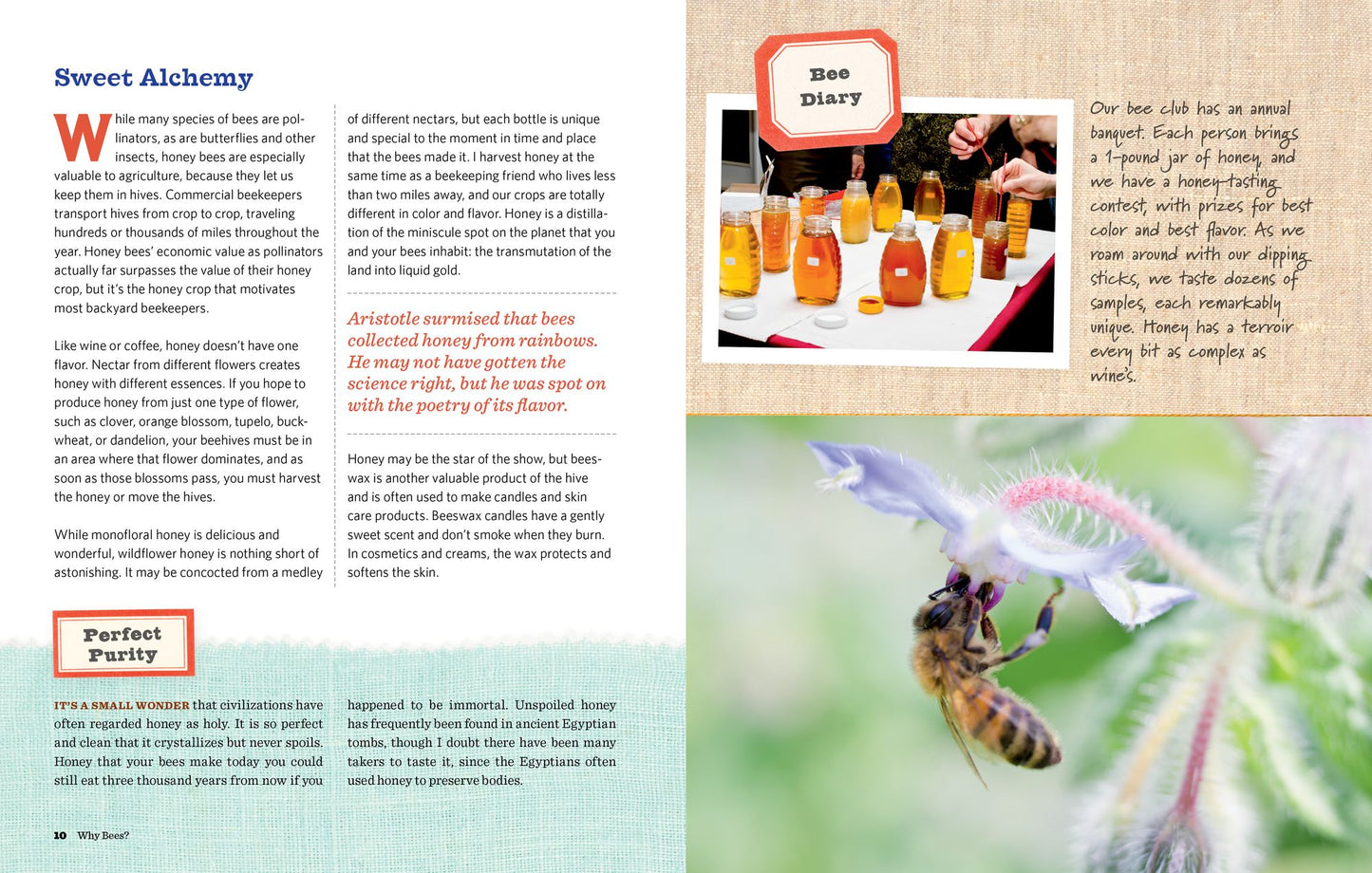 Homegrown Honey Bees: An Absolute Beginner's Guide to Beekeeping Your First Year, from Hiving to Honey Harvest