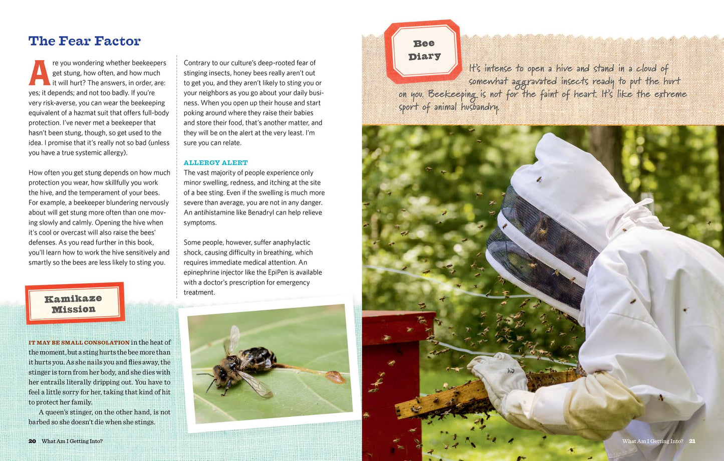 Homegrown Honey Bees: An Absolute Beginner's Guide to Beekeeping Your First Year, from Hiving to Honey Harvest