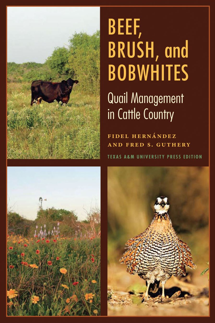 Beef, Brush, and Bobwhites: Quail Management in Cattle Country