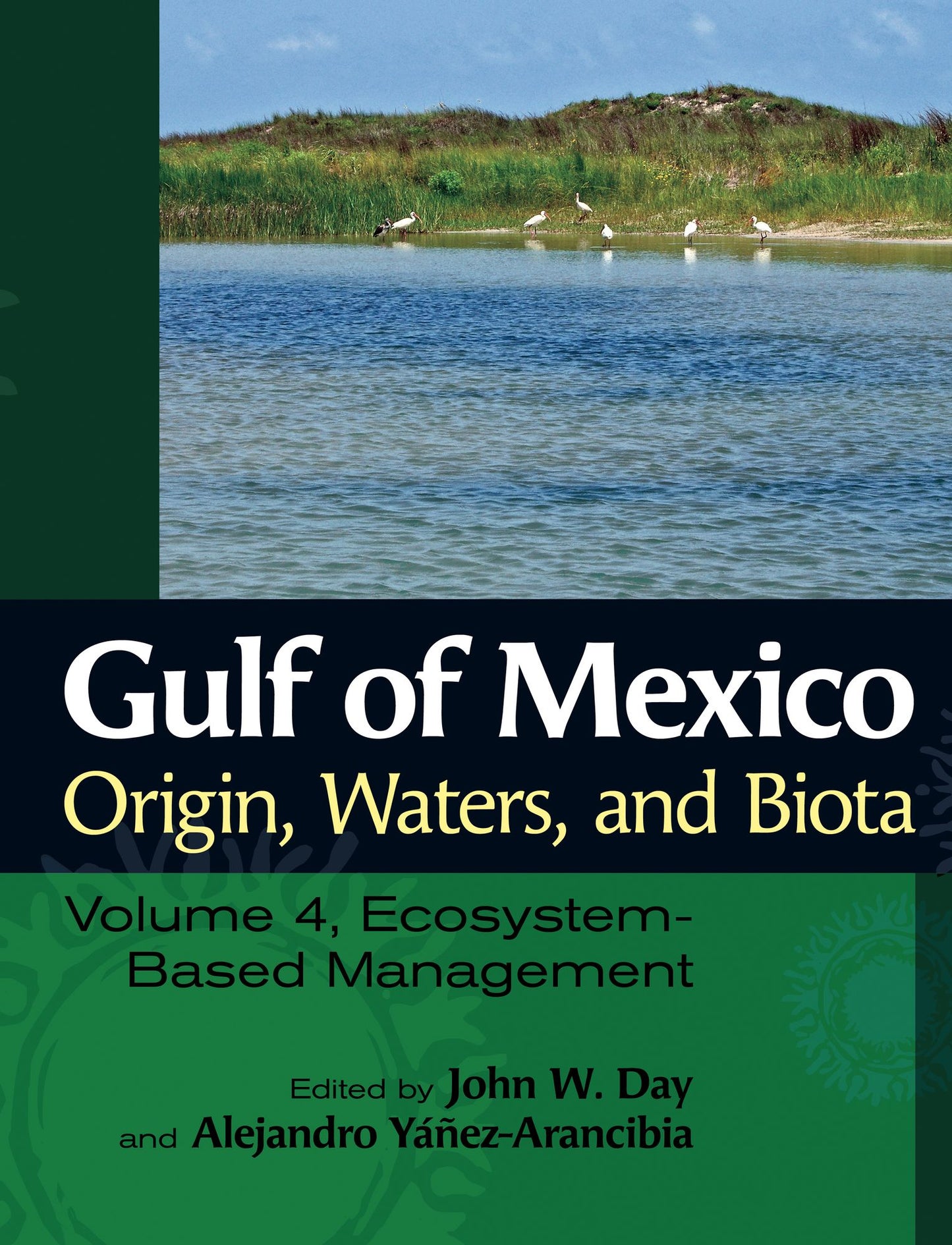 Gulf of Mexico Origin, Waters, and Biota: Volume 4, Ecosystem-Based Management