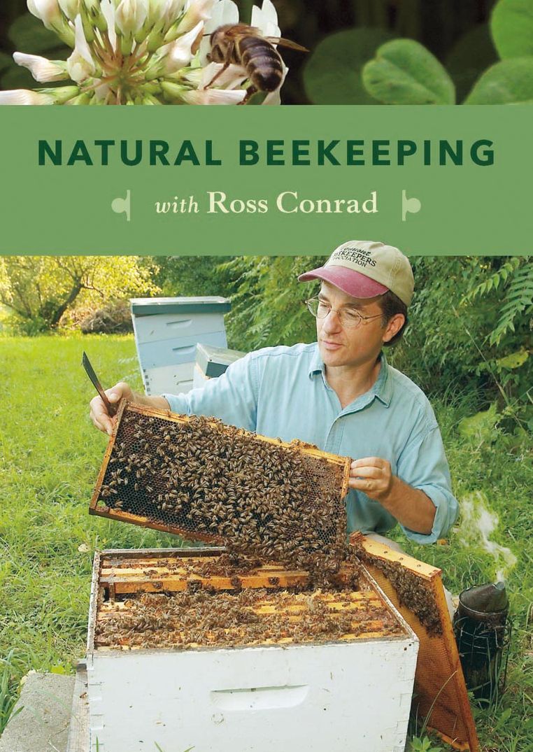 Getting Started with Natural Beekeeping