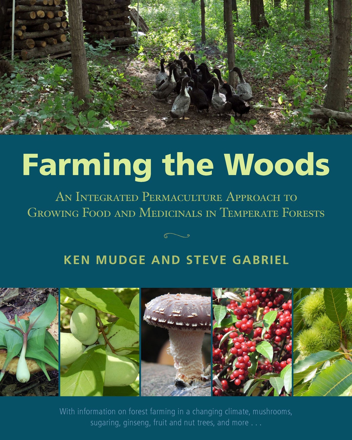 Farming the Woods : An Integrated Permaculture Approach to Growing Food and Medicinals in Temperate Forests