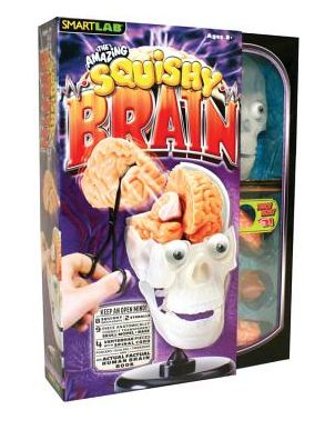 The Amazing Squishy Brain
