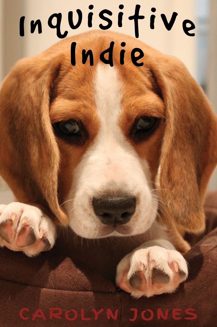 Inquisitive Indie