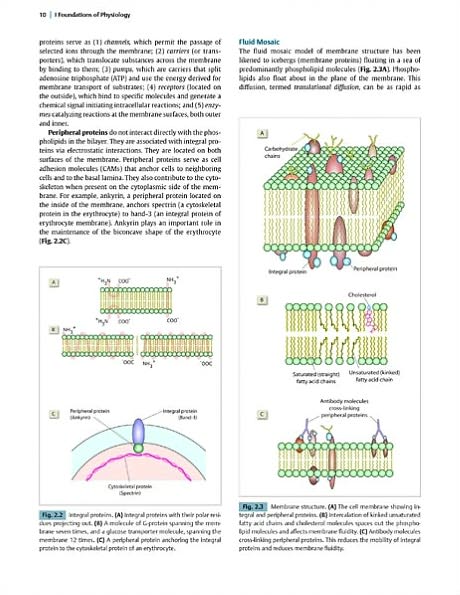 Fundamentals of Medical Physiology