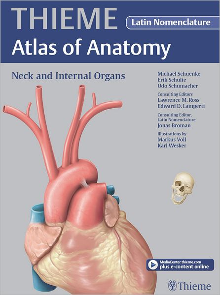 Neck and Internal Organs - Latin Nomencl. (THIEME Atlas of Anatomy)