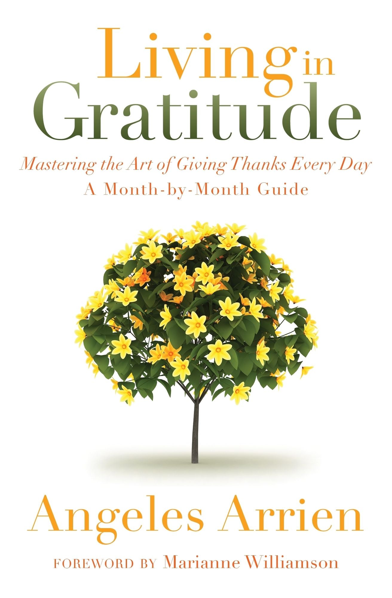 Living in Gratitude: Mastering the Art of Giving Thanks Every Day, A Month-by-Month Guide