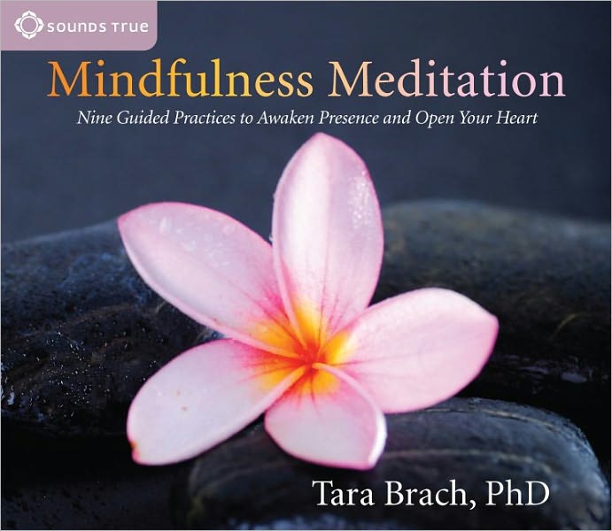 Mindfulness Meditation: Nine Guided Practices to Awaken Presence and Open Your Heart