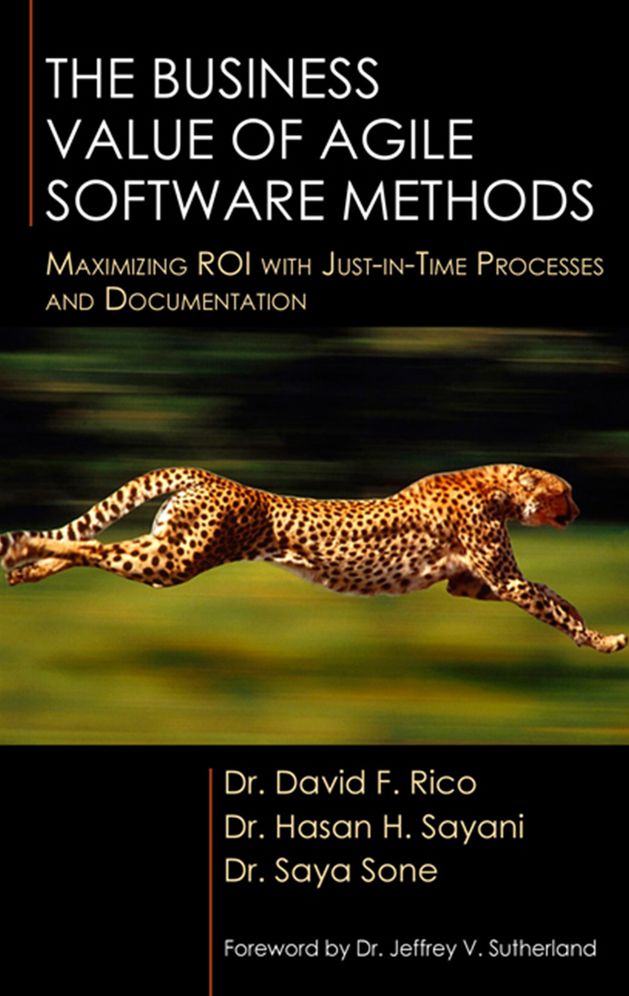 The Business Value of Agile Software Methods: Maximizing ROI with Just-In-Time Processes and Documentation