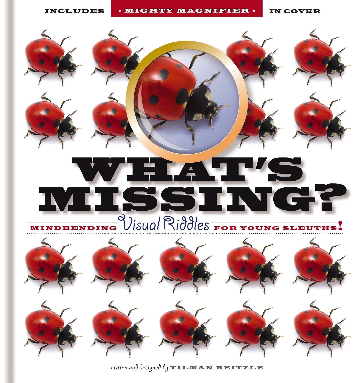 What's Missing: Look and look and look-can you find what's missing?