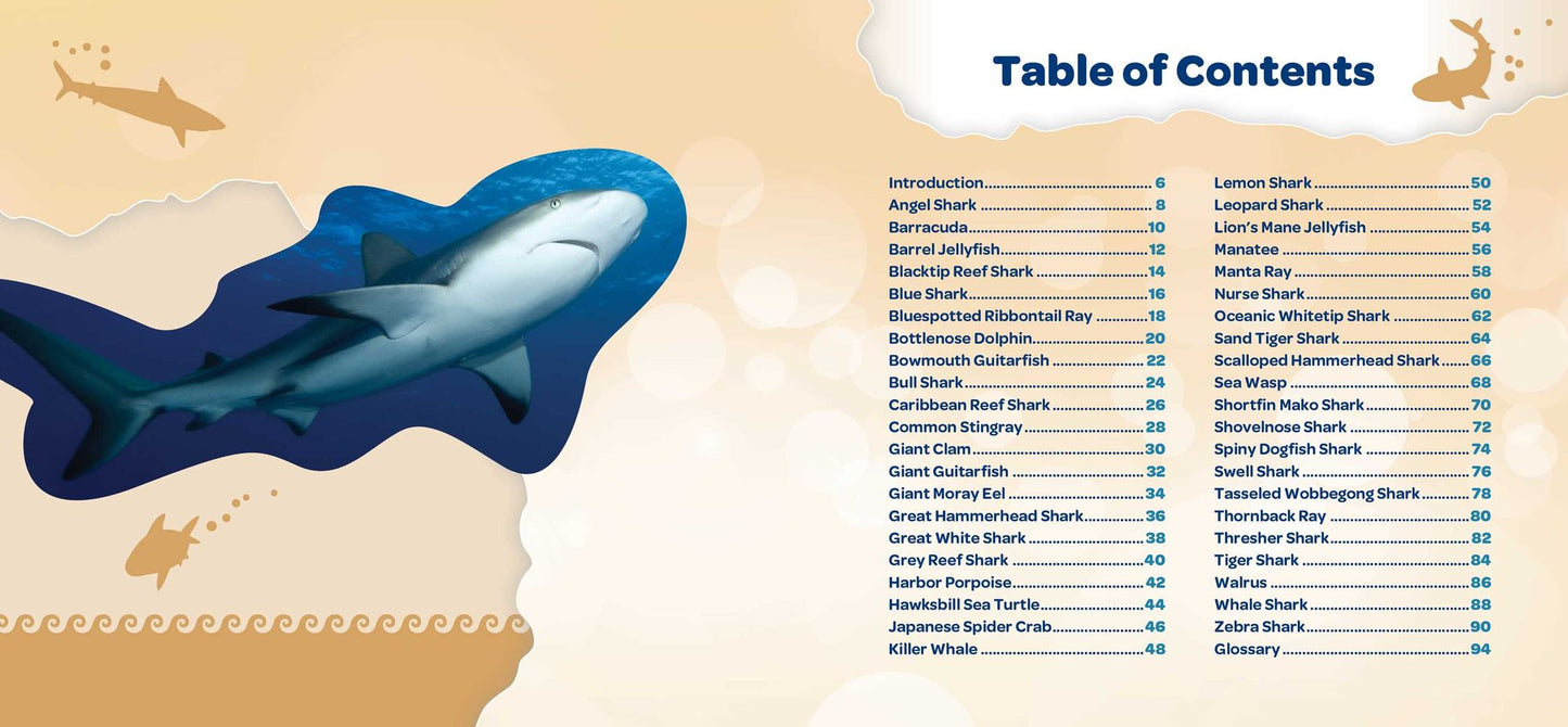 Kids Meet the Sharks and Other Giant Sea Creatures