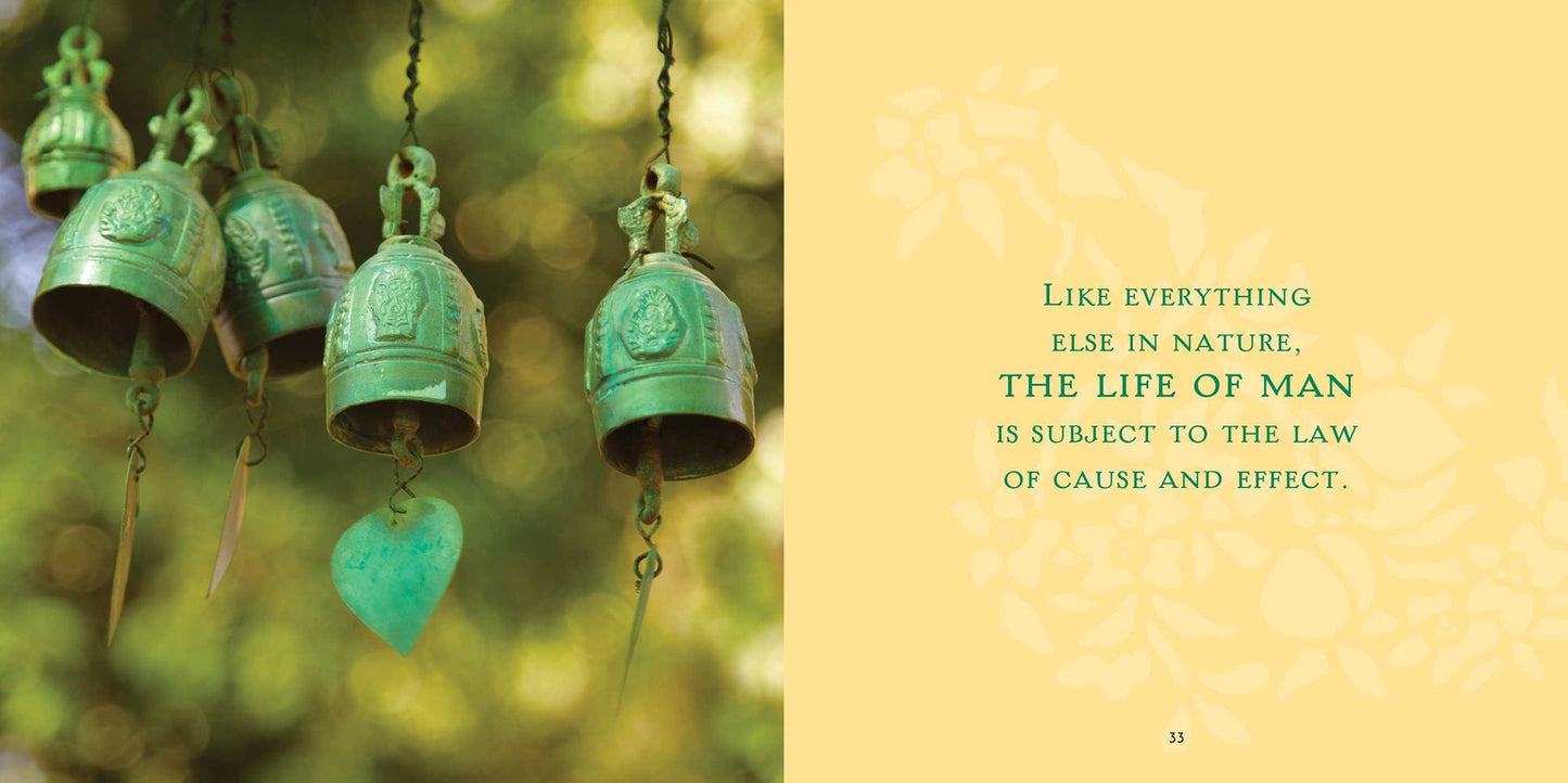 Embracing the Buddha Within: The Four Noble Truths