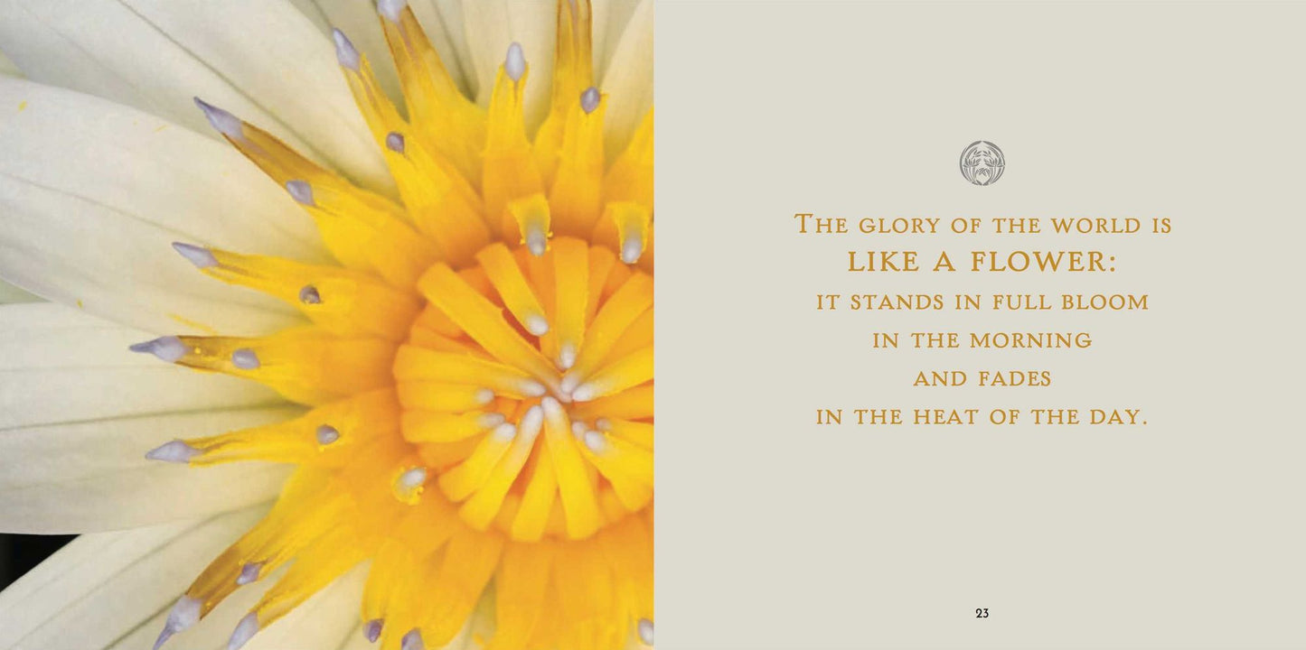 Embracing the Buddha Within: The Four Noble Truths