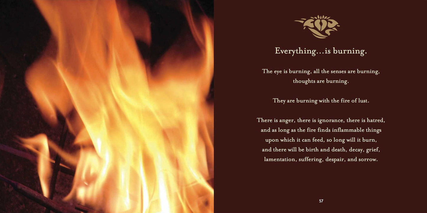 Embracing the Buddha Within: The Four Noble Truths