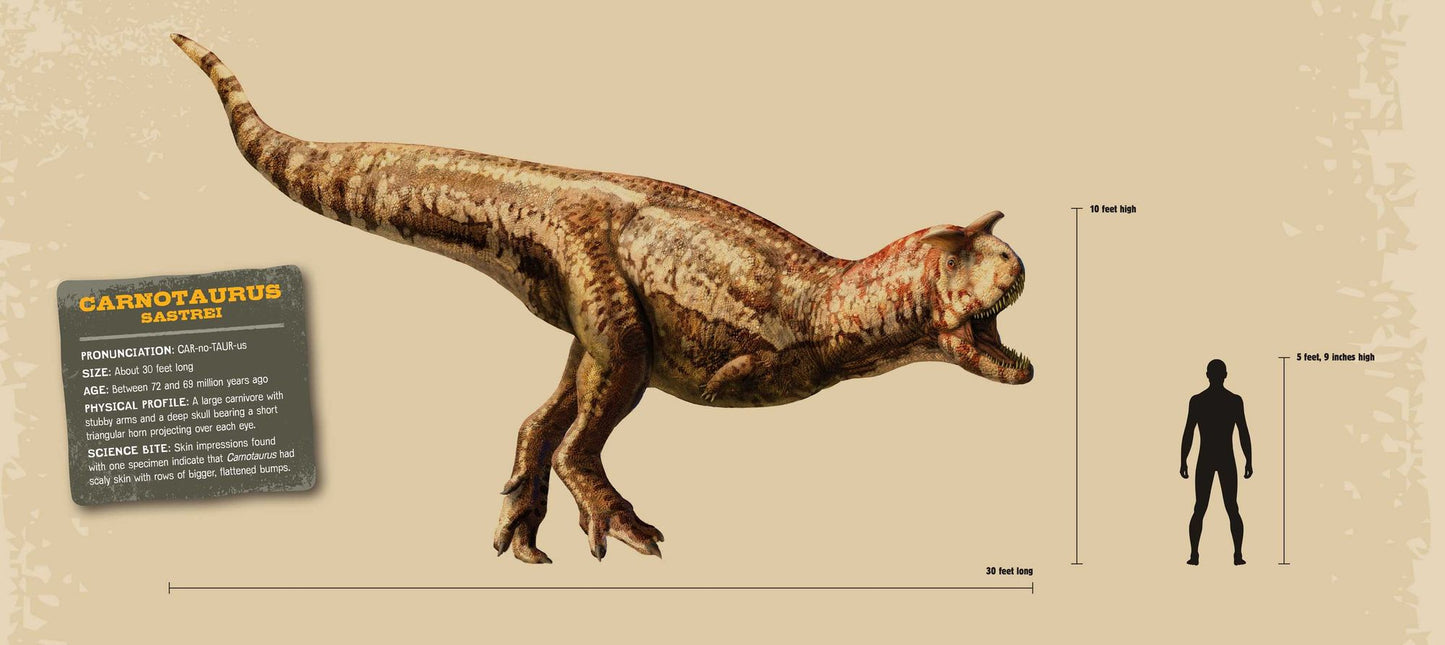 Prehistoric Predators