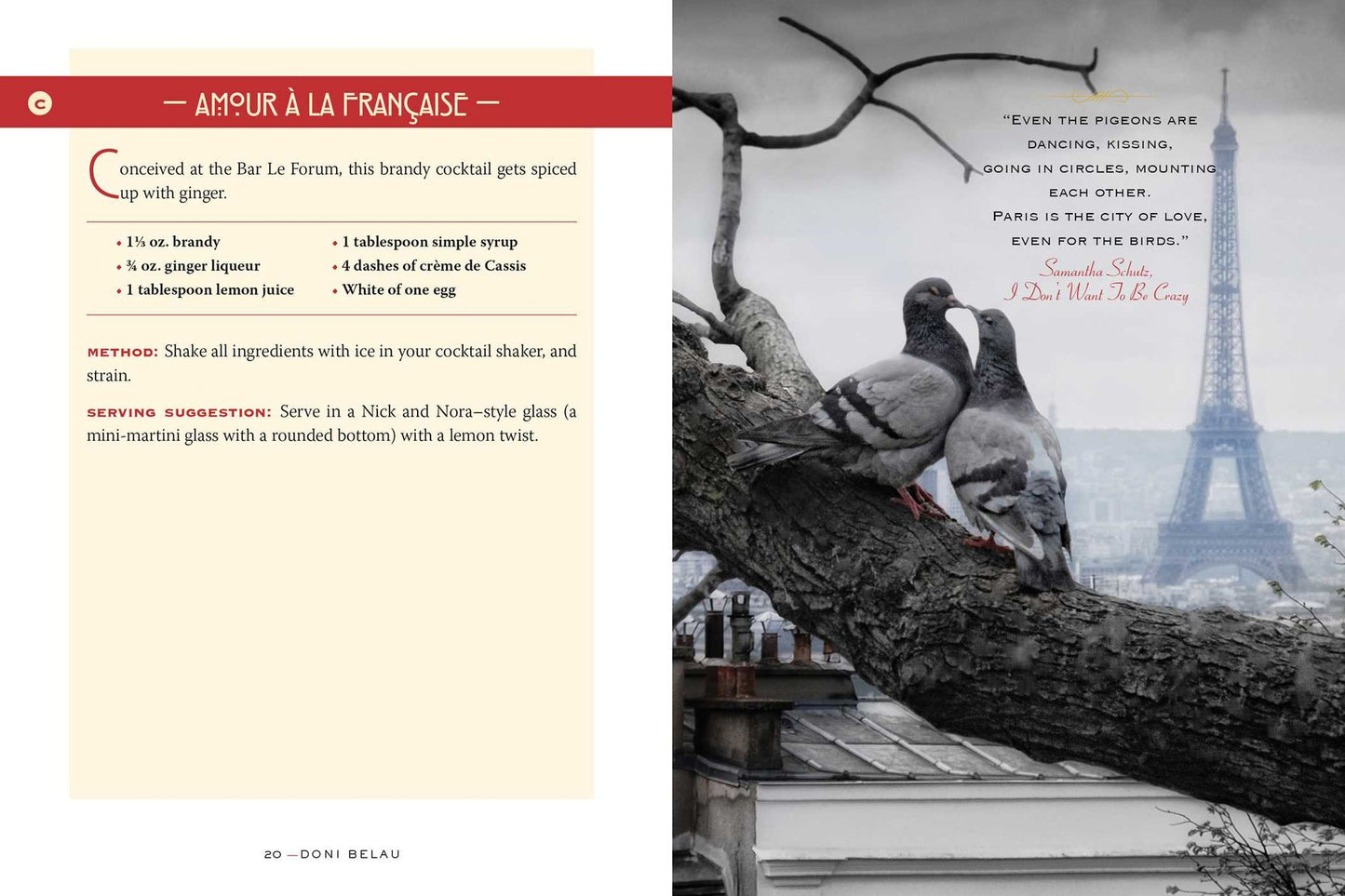 Paris Cocktails: An Elegant Collection of Over 100 Recipes Inspired by the City of Light