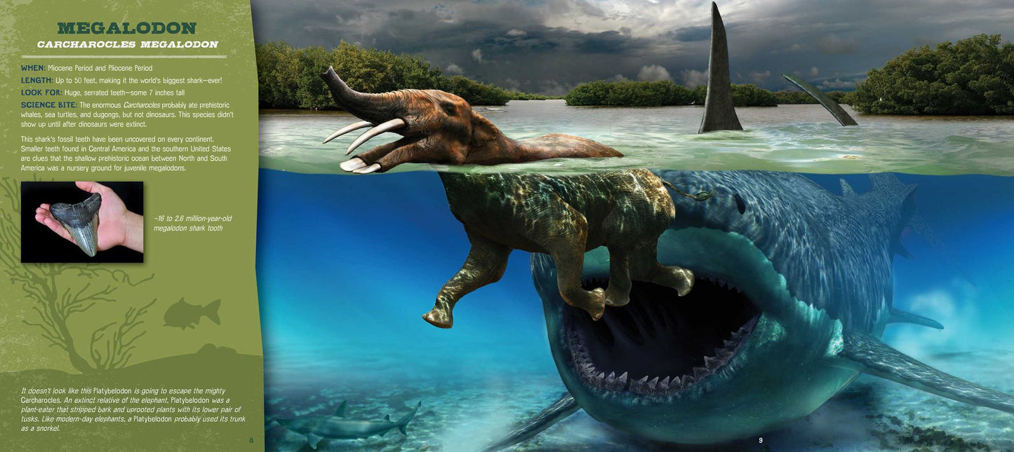 Discovering Sharks