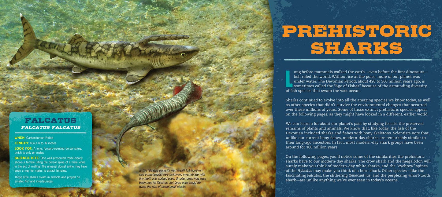 Discovering Sharks