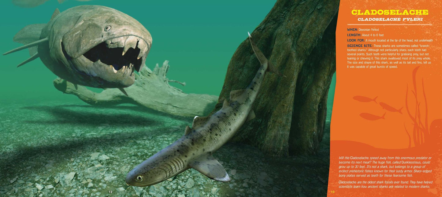 Discovering Sharks