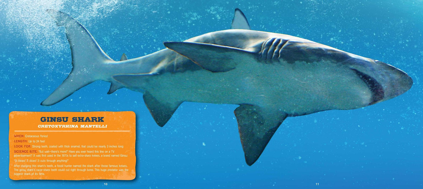 Discovering Sharks