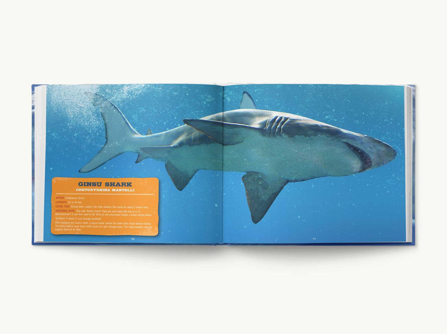 Discovering Sharks