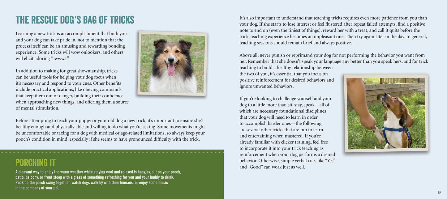The Rescue Dog Bucket List