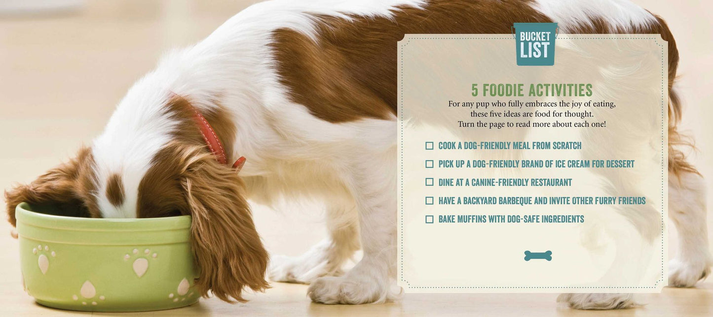 The Rescue Dog Bucket List