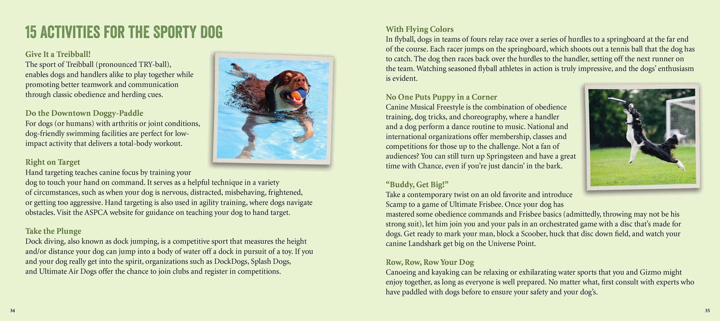 The Rescue Dog Bucket List