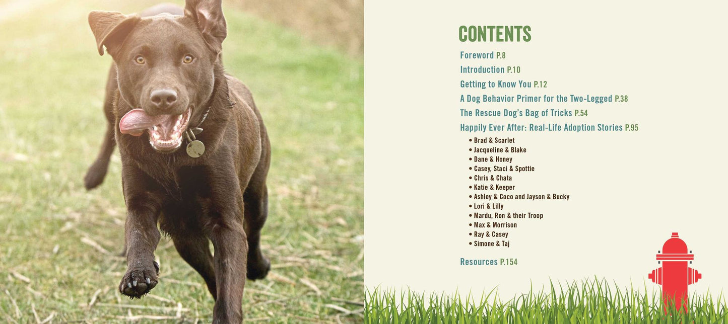 The Rescue Dog Bucket List