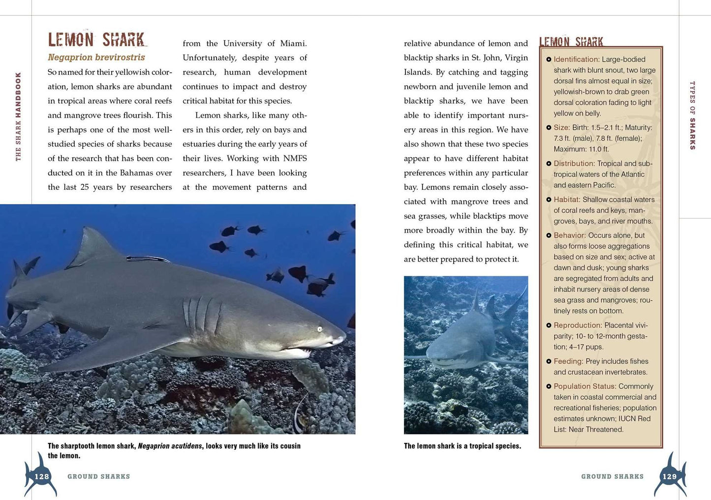 The Shark Handbook: Second Edition: The Essential Guide for Understanding the Sharks of the World