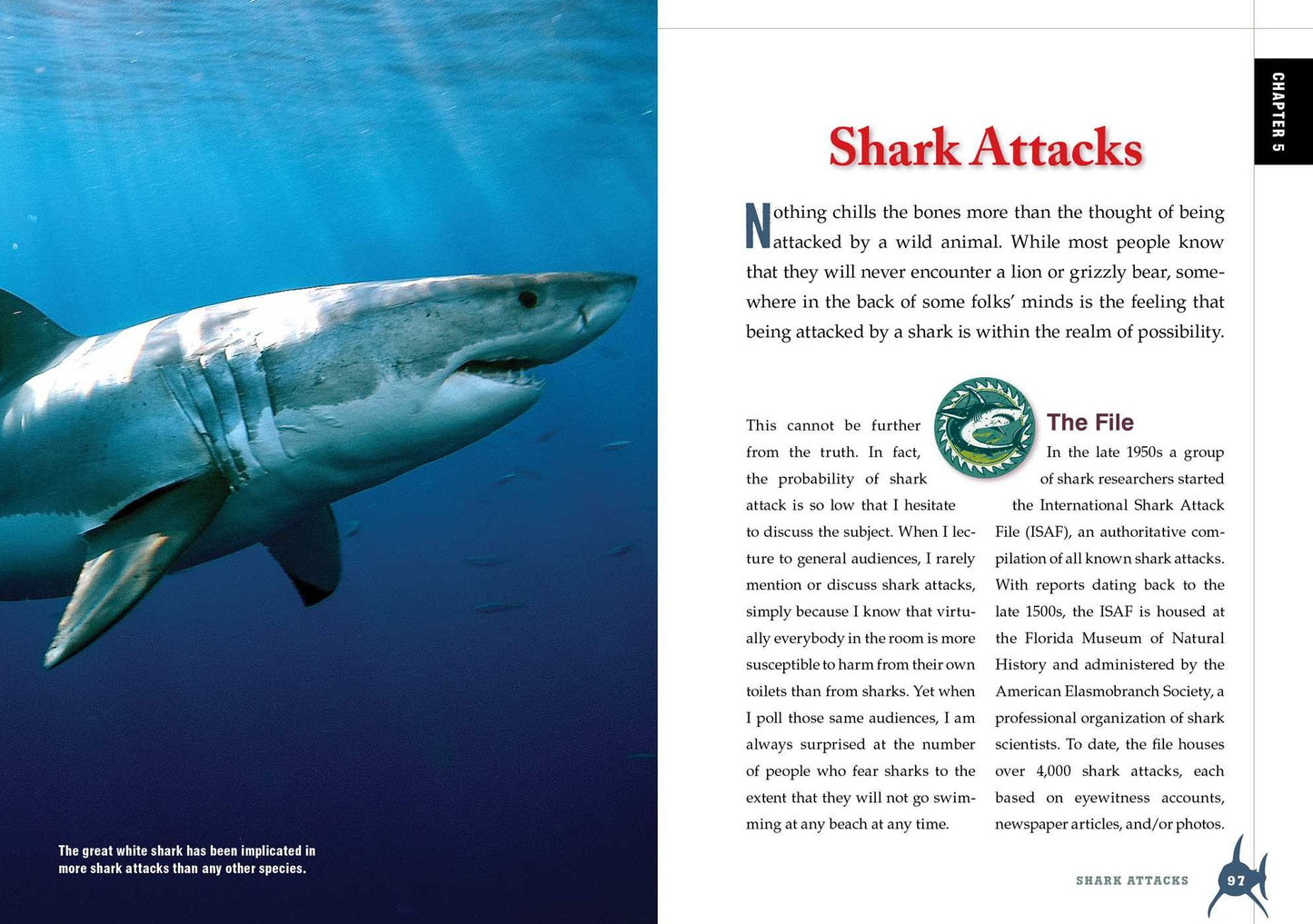 The Shark Handbook: Second Edition: The Essential Guide for Understanding the Sharks of the World