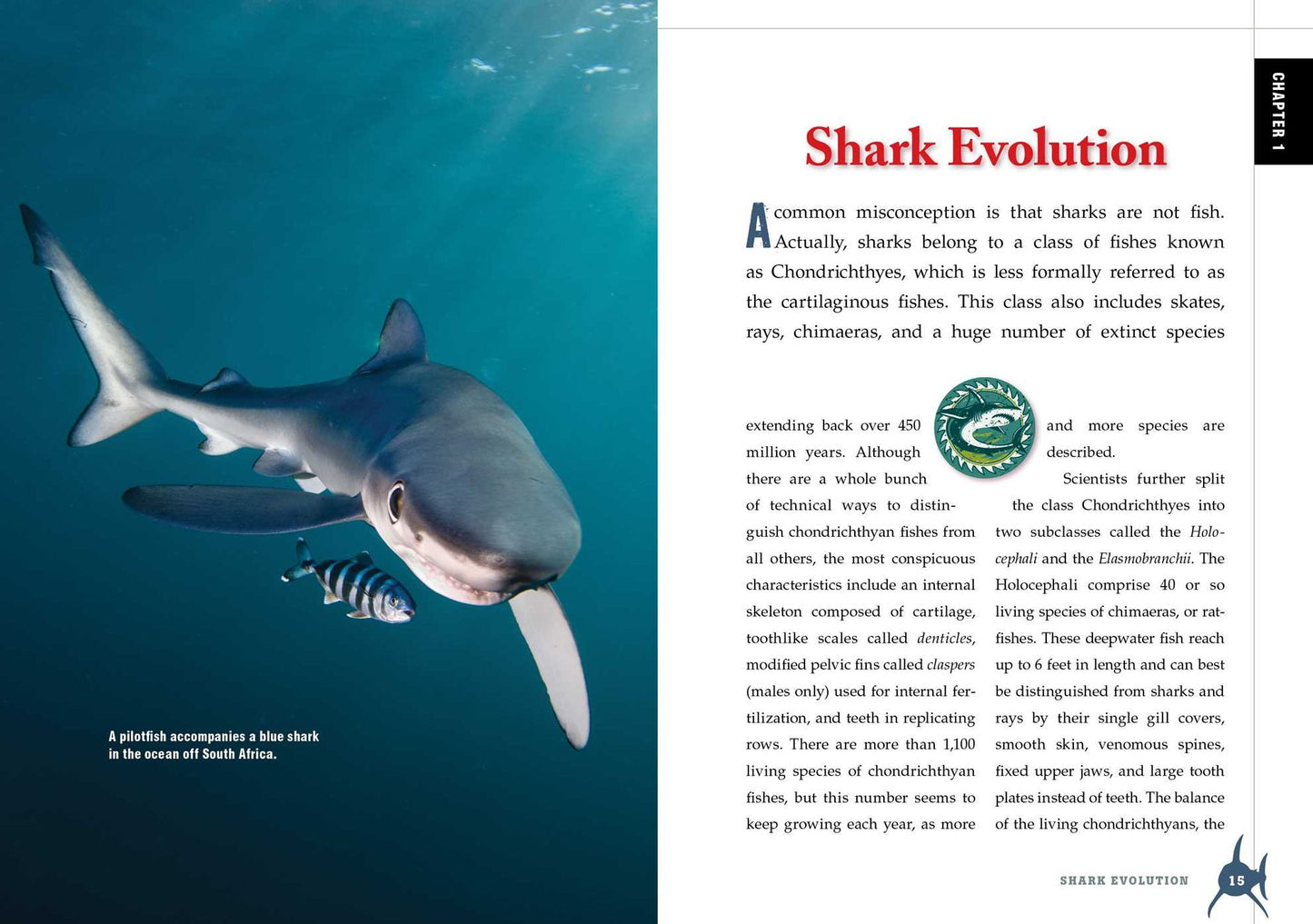 The Shark Handbook: Second Edition: The Essential Guide for Understanding the Sharks of the World