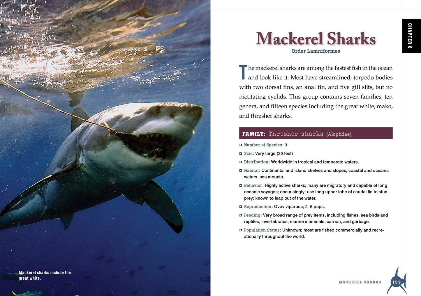 The Shark Handbook: Second Edition: The Essential Guide for Understanding the Sharks of the World