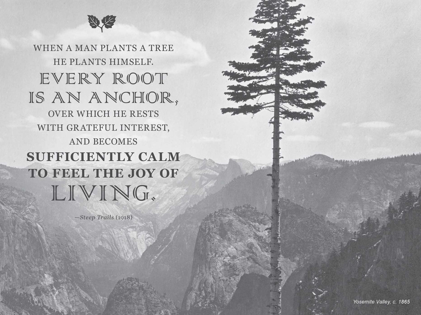 John Muir Notebook