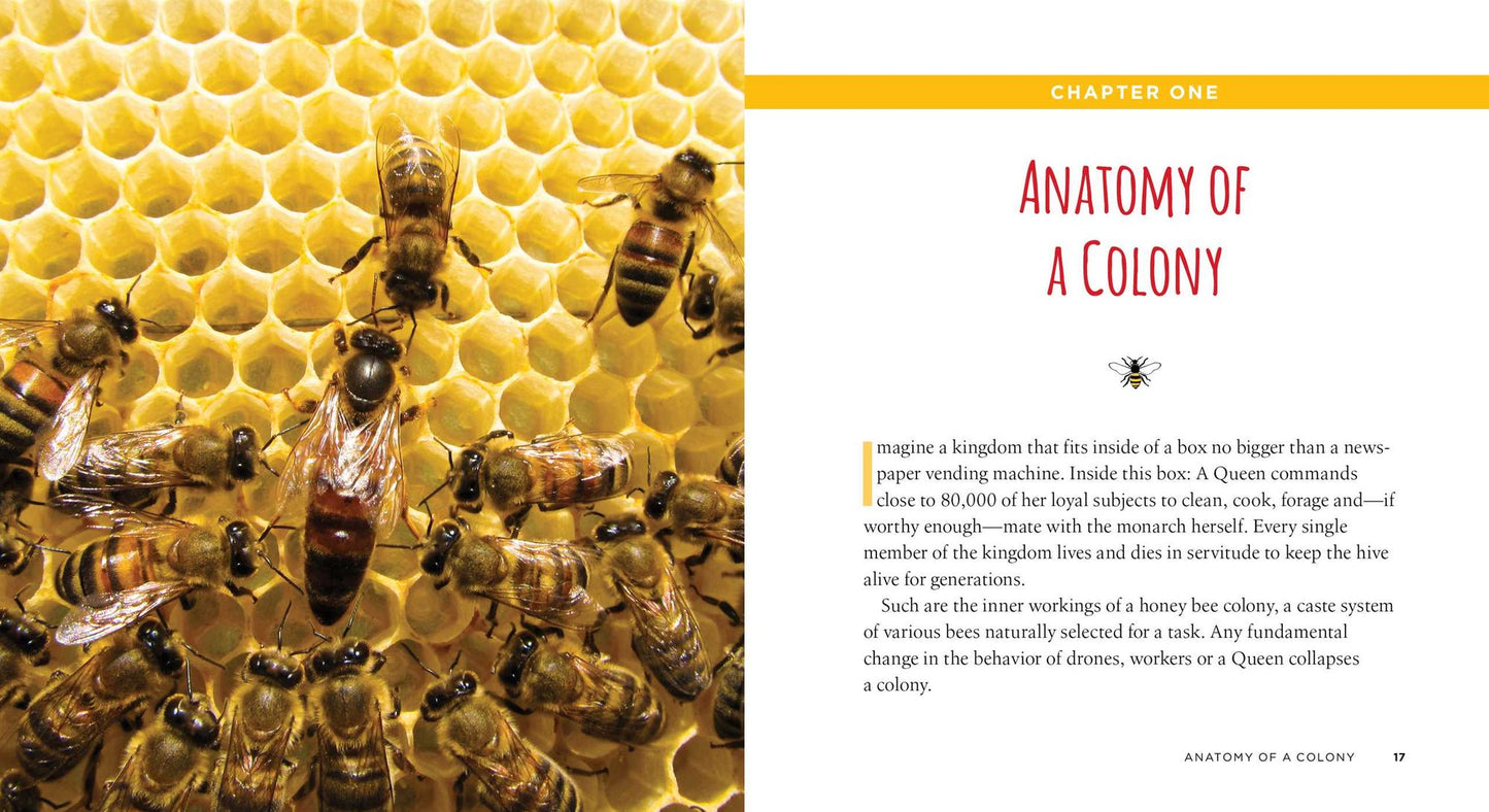 50 Ways to Save the Honey Bees (and Change the World)