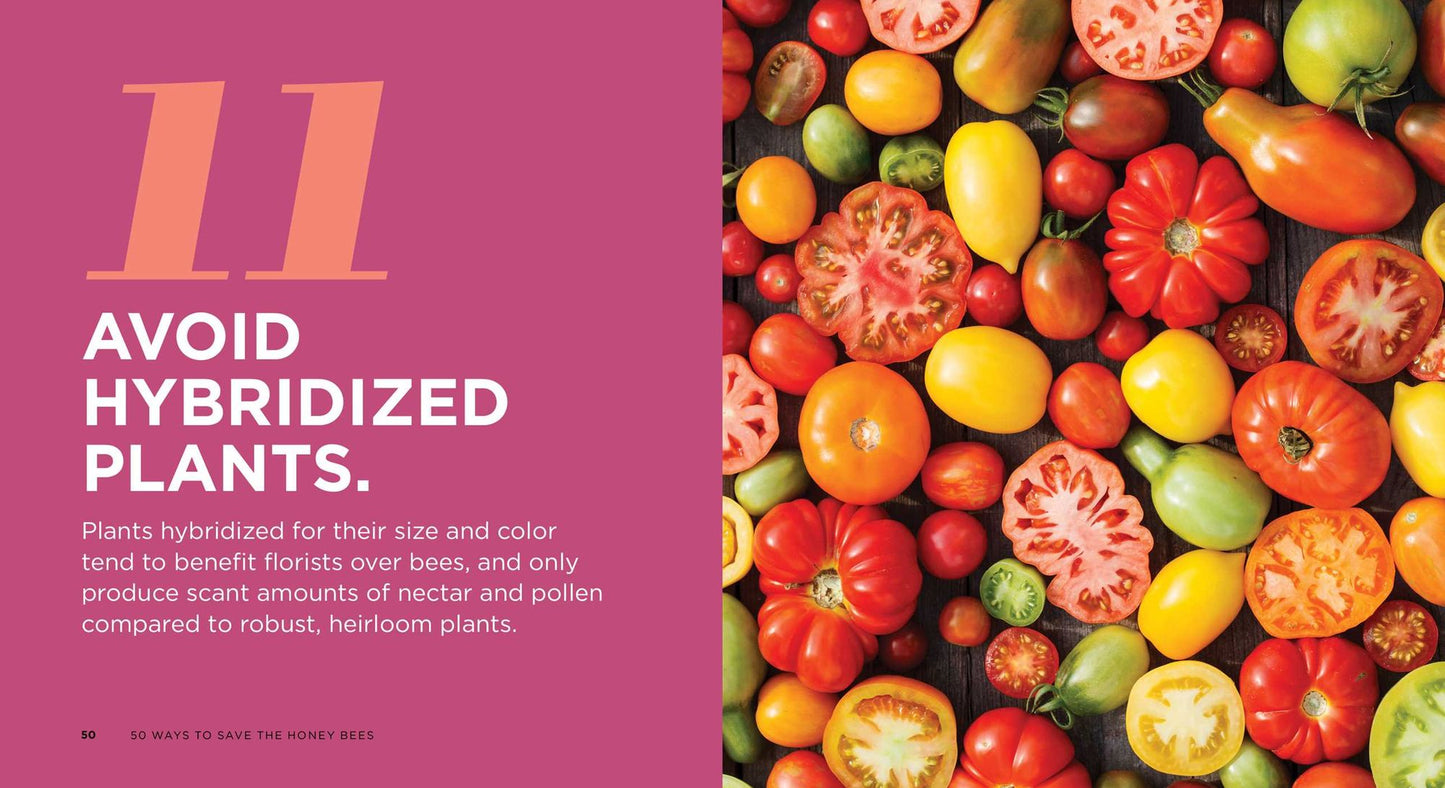 50 Ways to Save the Honey Bees (and Change the World)