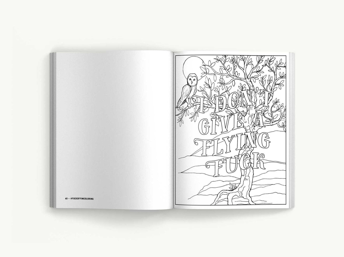 Fuck Off, I'm Coloring: Unwind with 50 Obnoxiously Fun Swear Word Coloring Pages (Funny Activity Book, Adult Coloring Books, Curse Words, Swear Humor, Profanity Activity, Funny Gift Book)