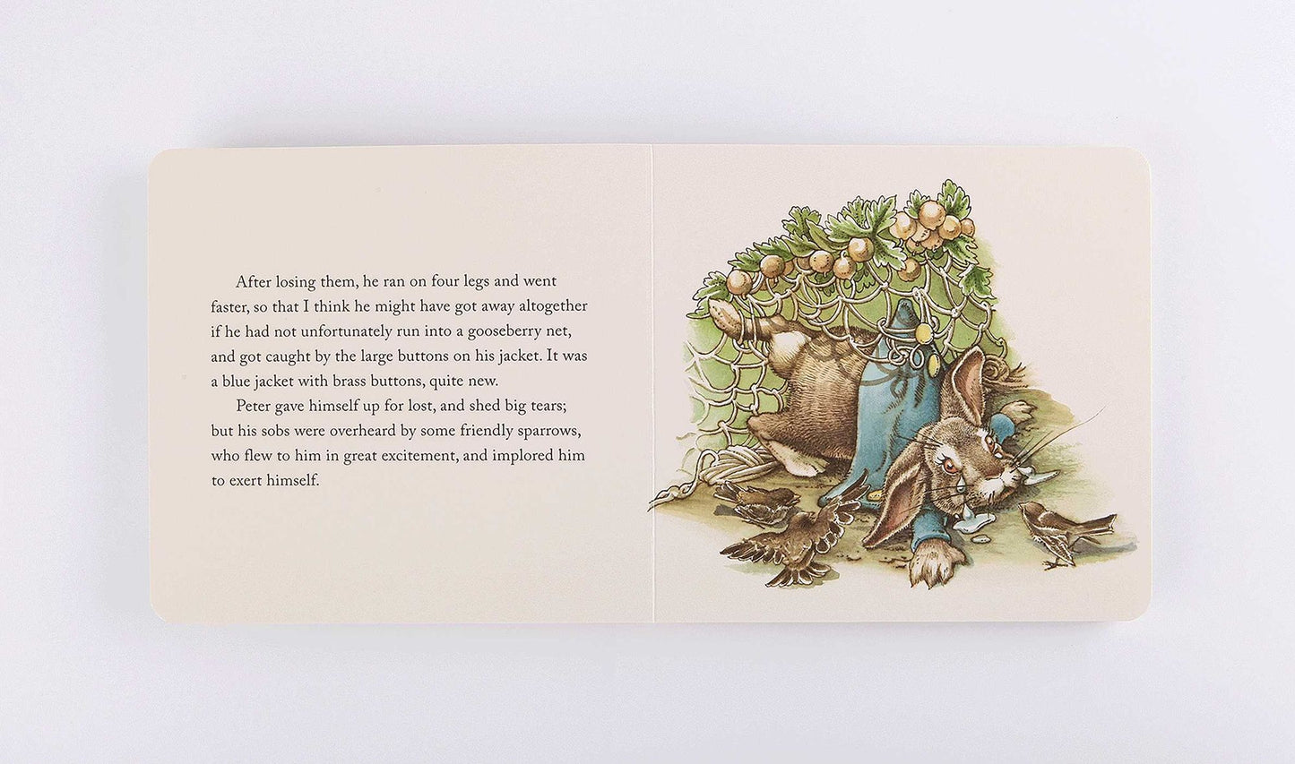 The Peter Rabbit Gift Set: Including a Classic Board Book and Peter Rabbit Plush