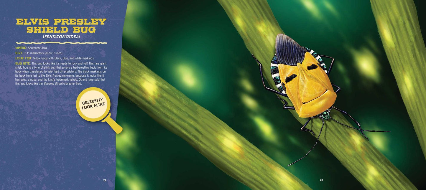 Discovering Bugs: Meet the Coolest Creepy Crawlies on the Planet