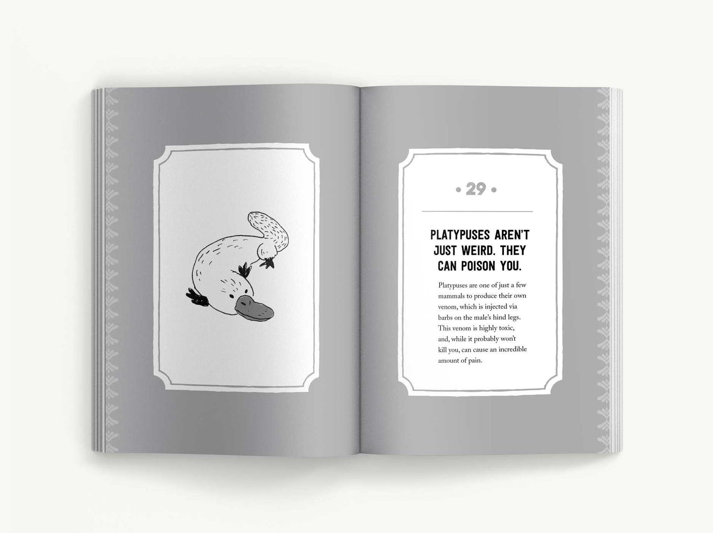 True Facts That Sound Like Bullshit: 500 Bits of Insane-But-True Crap That Will Shock Your Friends, and Impress Everyone