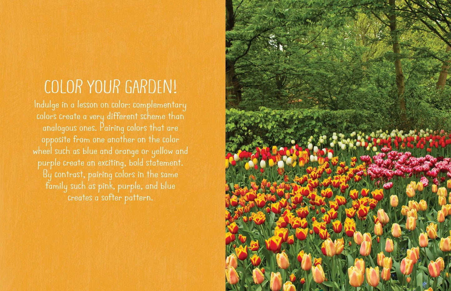 The Wit and Wisdom from the Garden: Over 75 Gardening and Canning Tips, Plus Recipes for Enjoying Your Bountiful Harvest