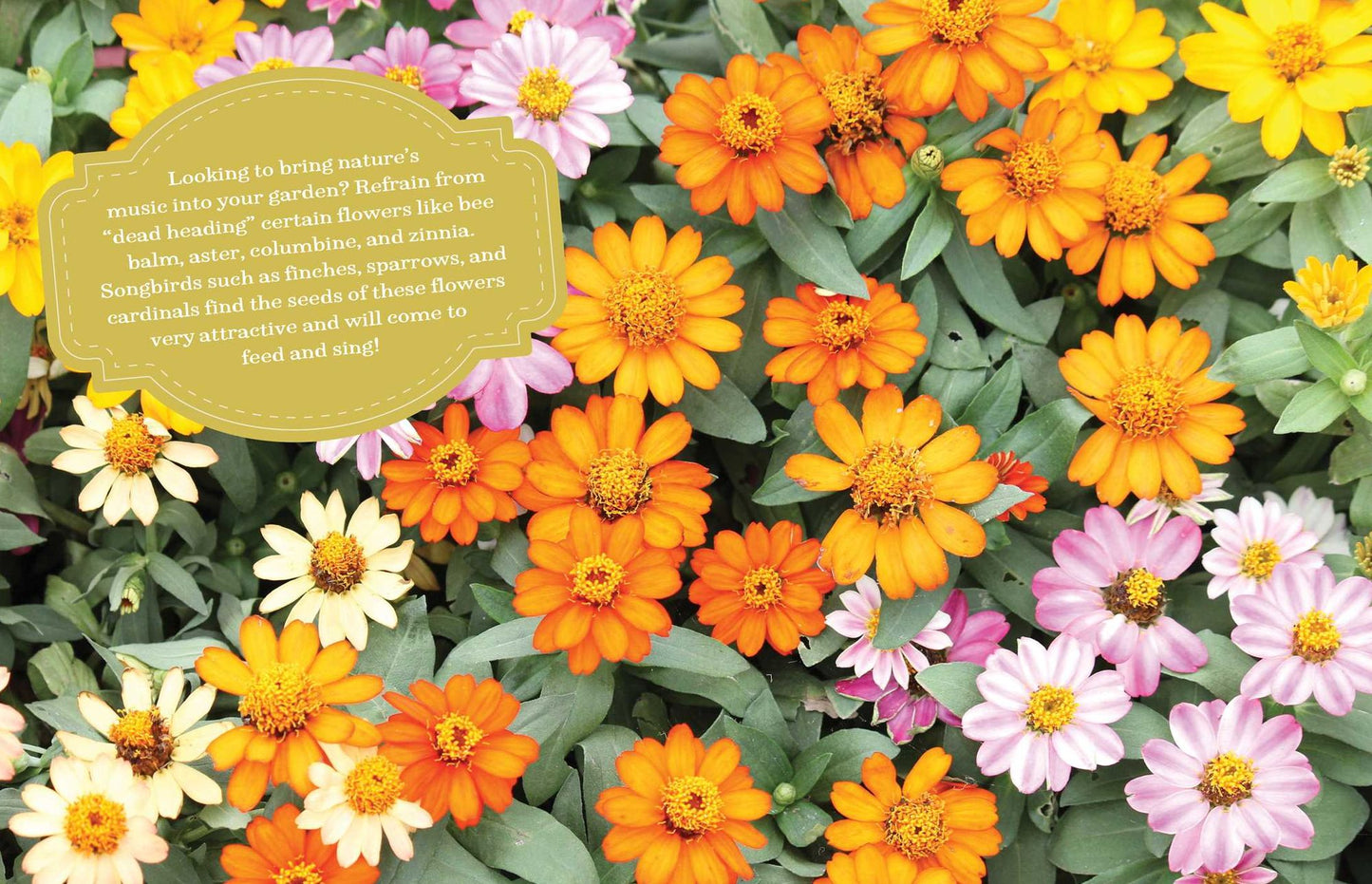 The Wit and Wisdom from the Garden: Over 75 Gardening and Canning Tips, Plus Recipes for Enjoying Your Bountiful Harvest